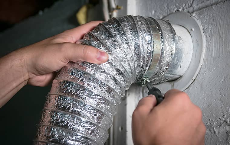 dryer-vent.v3-1.jpg dryer-vent.v3-1.jpg